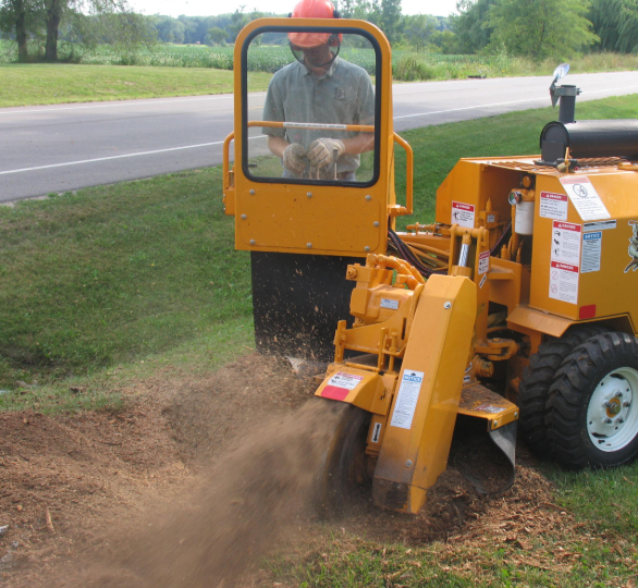 this image shows stump grinding service in Lake Forest, California