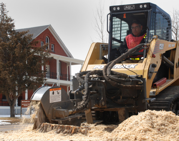 this image shows stump removal in Lake Forest, California